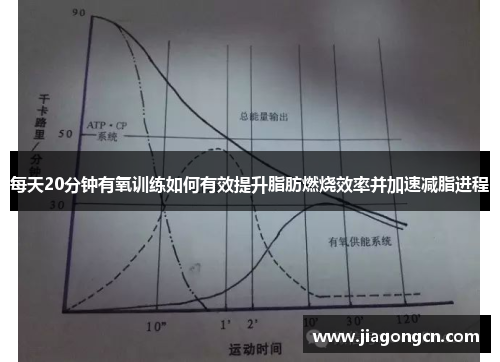 每天20分钟有氧训练如何有效提升脂肪燃烧效率并加速减脂进程